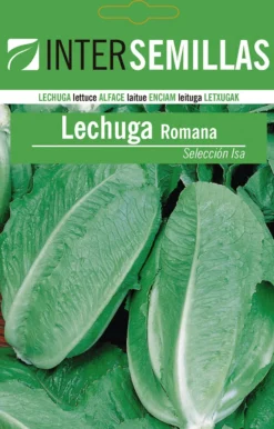 Sobre De Semillas De Lechuga Romana