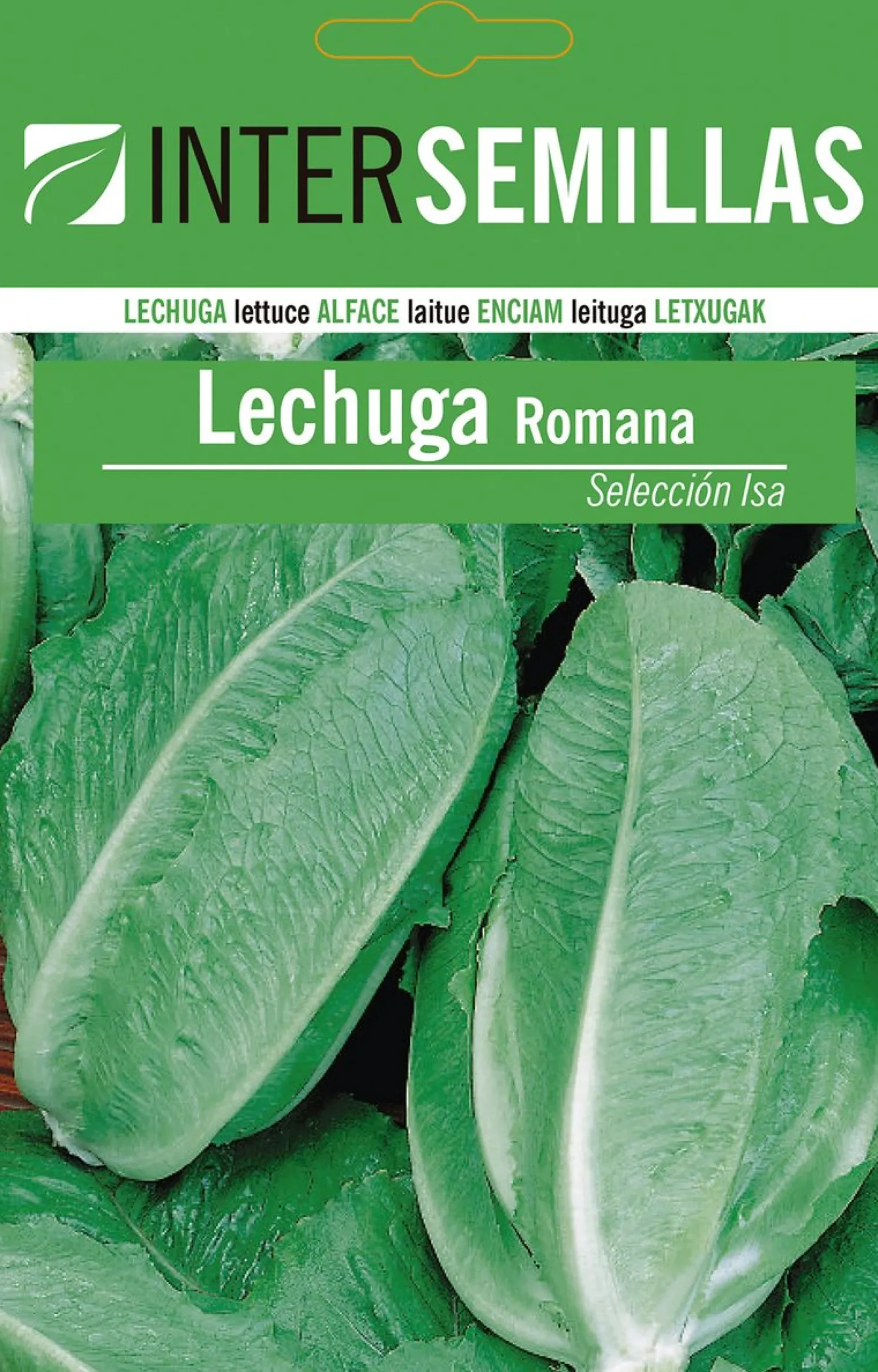 Sobre De Semillas De Lechuga Romana
