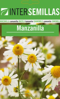 Sobre De Semillas De Manzanilla