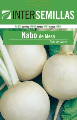 Sobre De Semillas De Nabo De Mesa