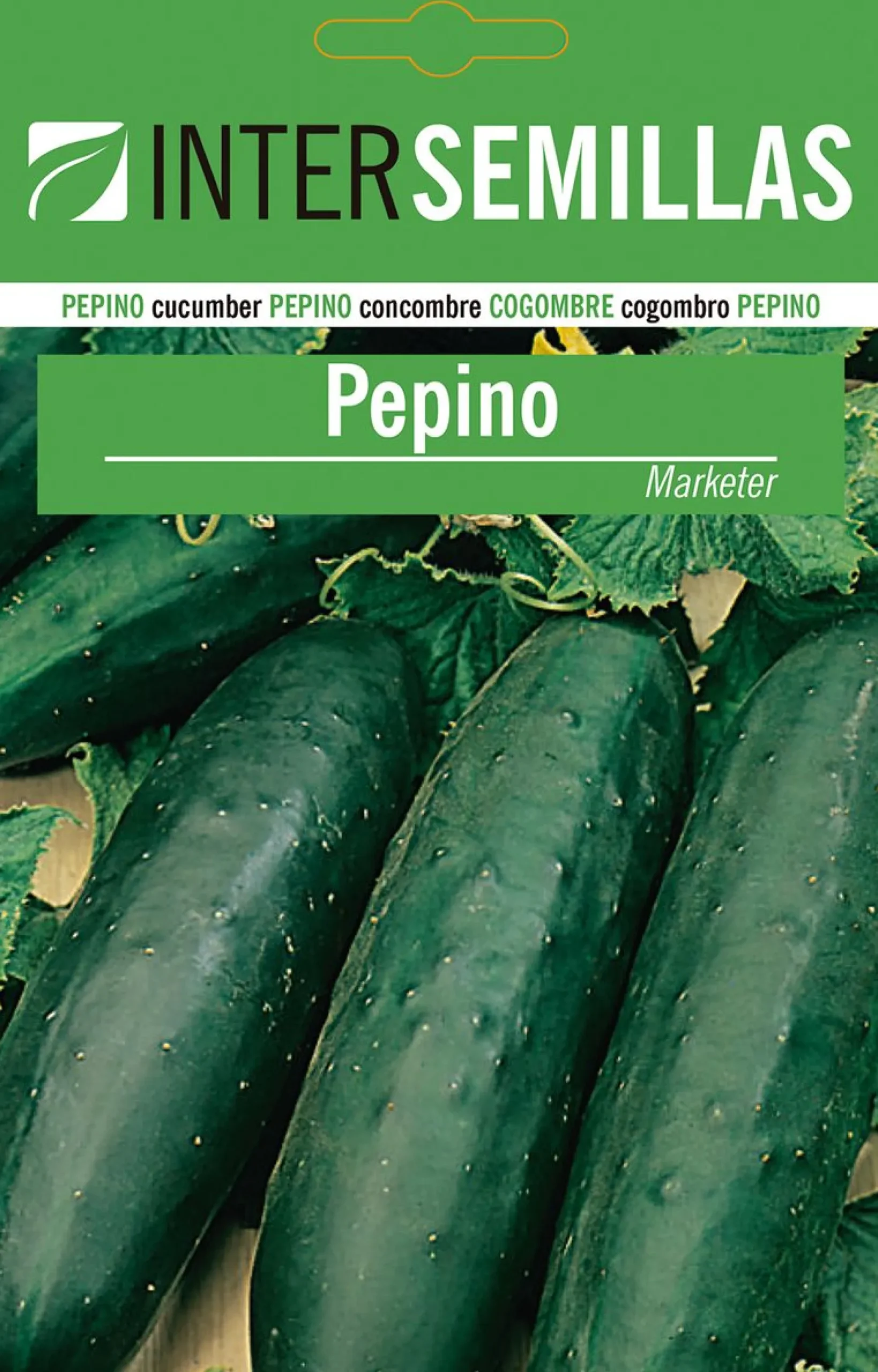Sobre De Semillas De Pepino Marketer