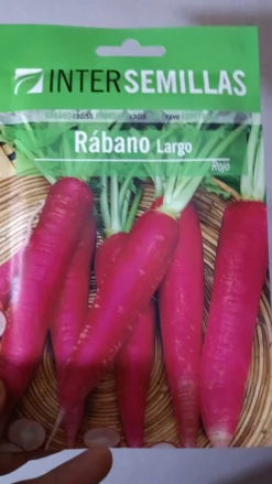 Sobre De Semillas De Rabano Largo