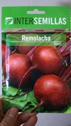 Sobre De Semillas De Remolacha Detroit
