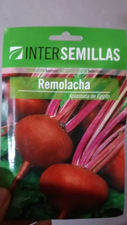Sobre De Semillas De Remolacha Aplastada De Egipto