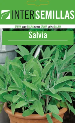 Sobre De Semillas De Salvia