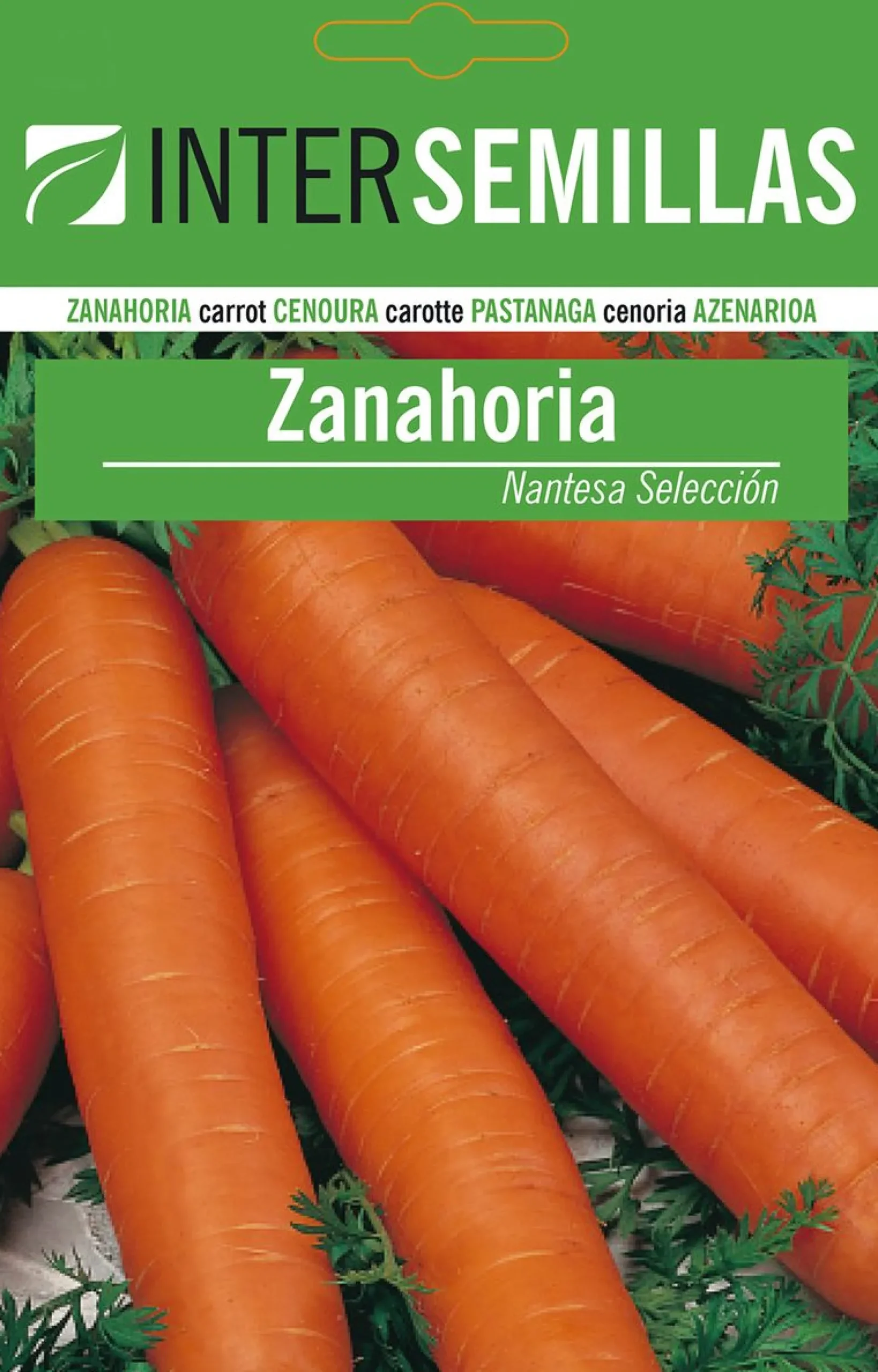 Sobre De Semillas De Zanahoria Nantesa
