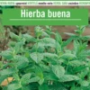 Sobre De Semillas Hierba Buena Aromaticas