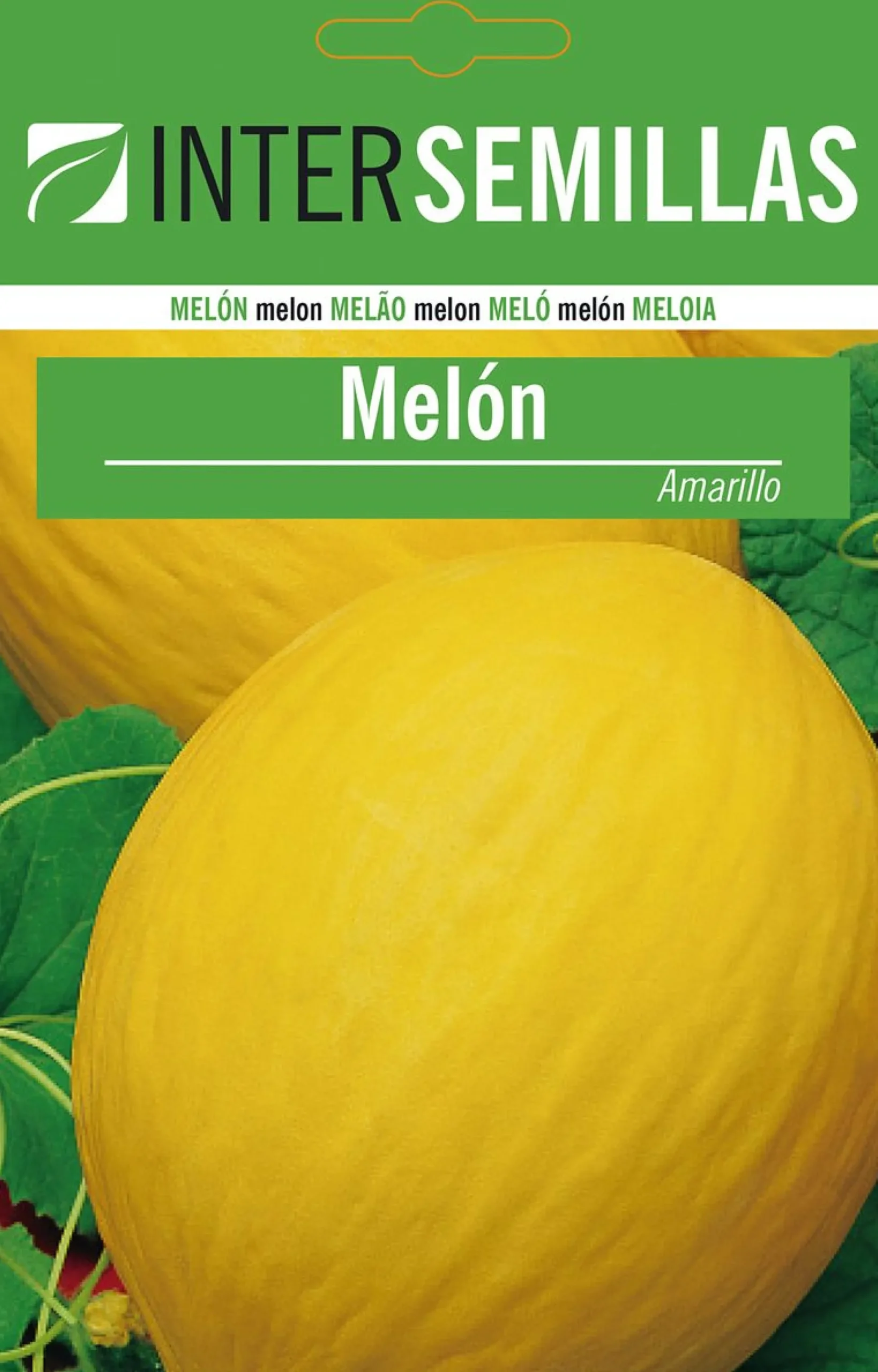 Sobre De Semillas Melon Amarillo