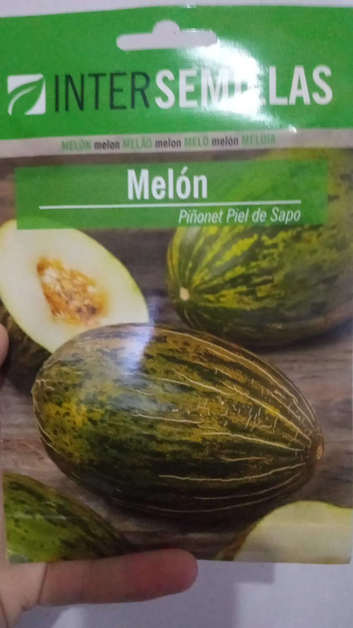 Sobre De Semillas Melon Piel De Sapo