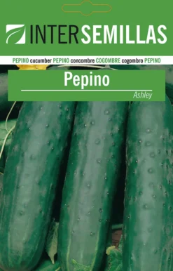 Sobre De Semillas Pepino Ashley