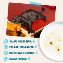 Sobres de comida húmeda Atún & Pollo en Salsa para Gatos Adultos | Edgard & Cooper 85 g