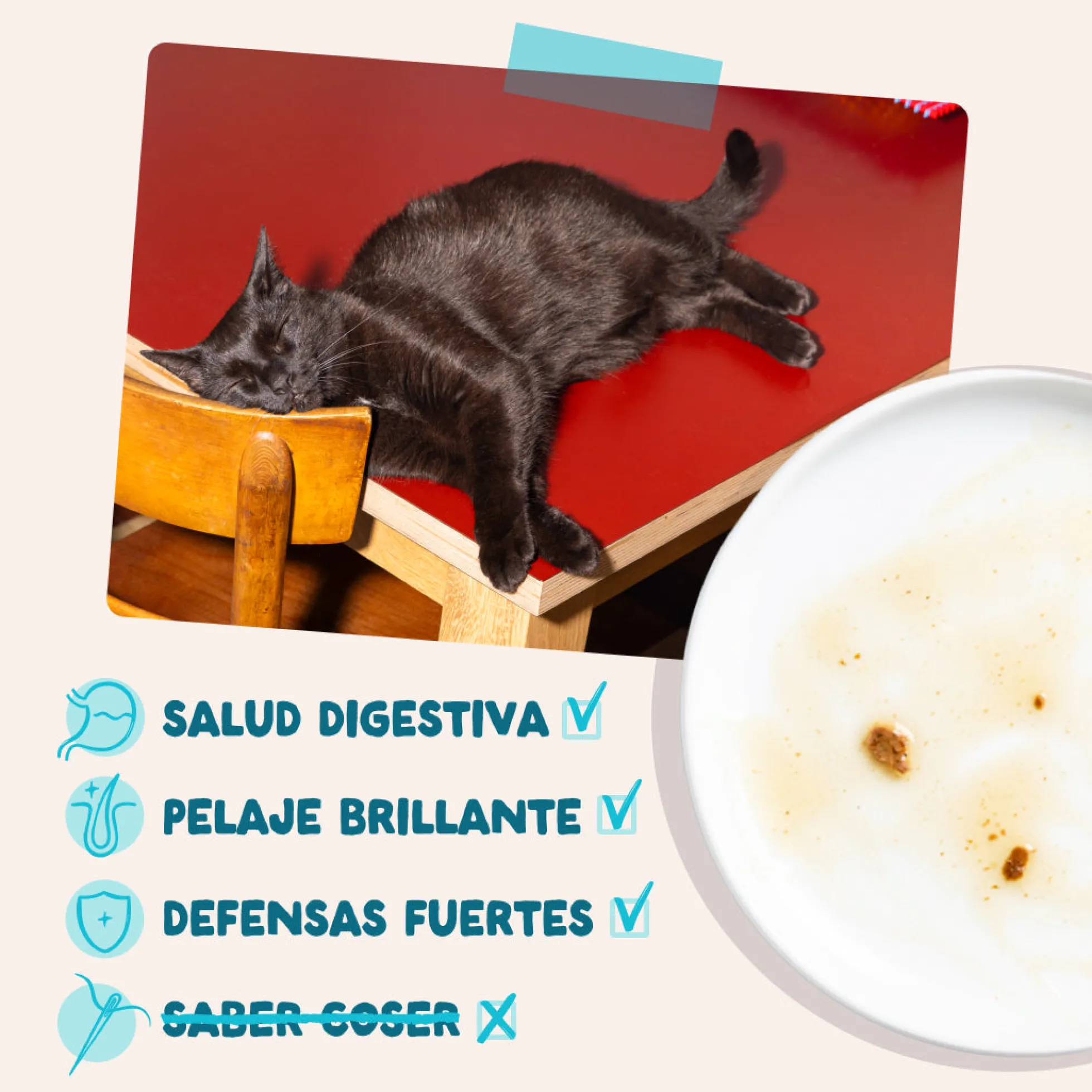 Sobres de comida húmeda Atún & Pollo en Salsa para Gatos Adultos | Edgard & Cooper 85 g