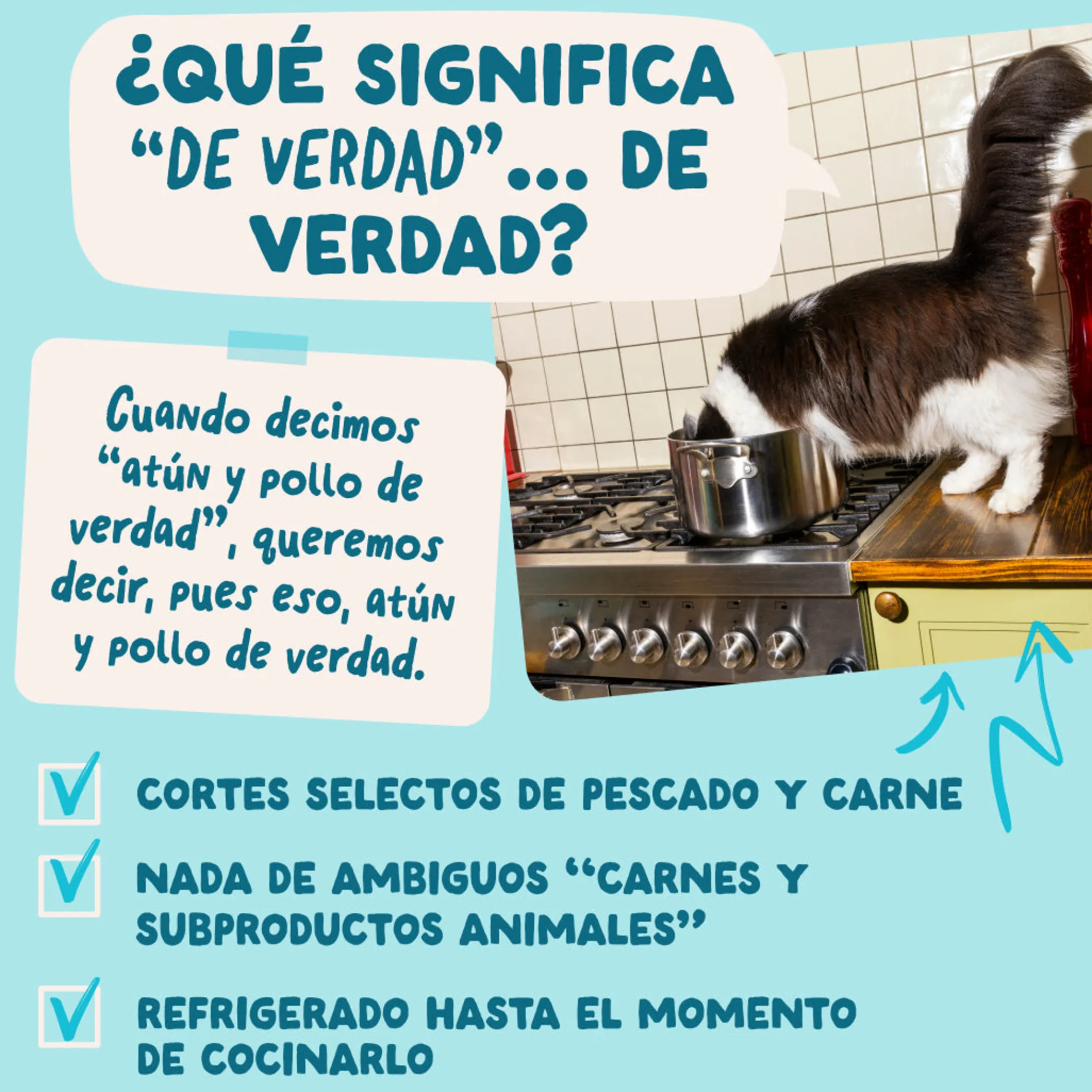 Sobres de comida húmeda Atún & Pollo en Salsa para Gatos Adultos | Edgard & Cooper 85 g