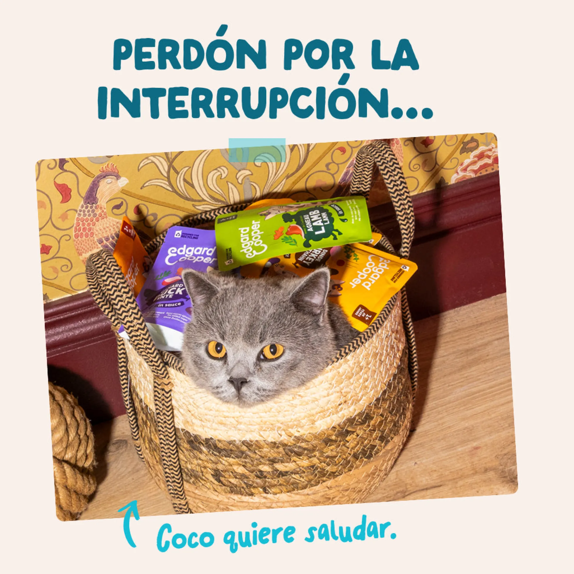 Sobres de comida húmeda Atún & Pollo en Salsa para Gatos Adultos | Edgard & Cooper 85 g