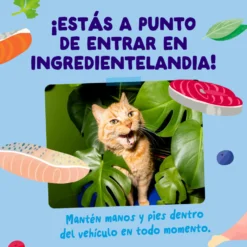Sobres de comida húmeda para gatos Captura del Día Selección de Pescado en Salsa | Edgard & Cooper 85 g