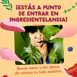 Sobres de comida húmeda para gatos Festines de la Granja Selección en Salsa | Edgard & Cooper 85 g