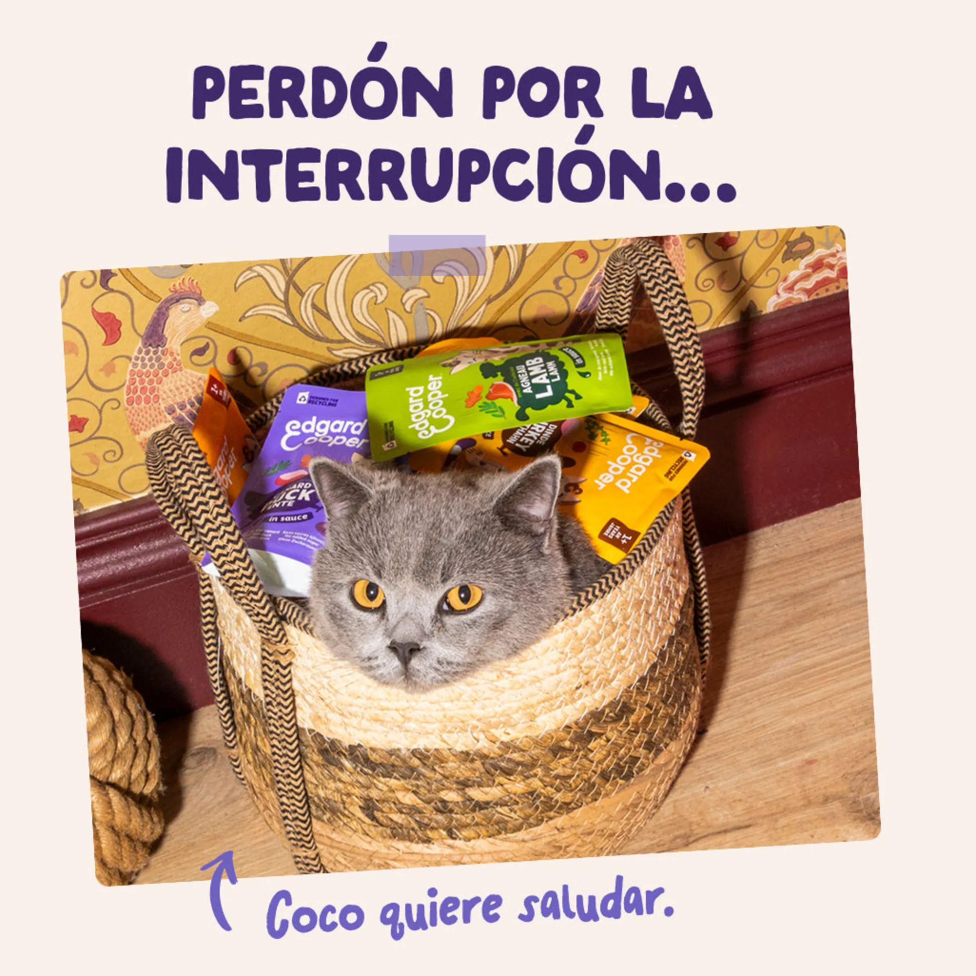Sobres de comida húmeda Pato & Pavo en Salsa para Gatos Adultos | Edgard & Cooper 85 g