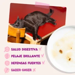 Sobres para gatitos Pato & Pollo en Salsa | Edgard & Cooper 85 g