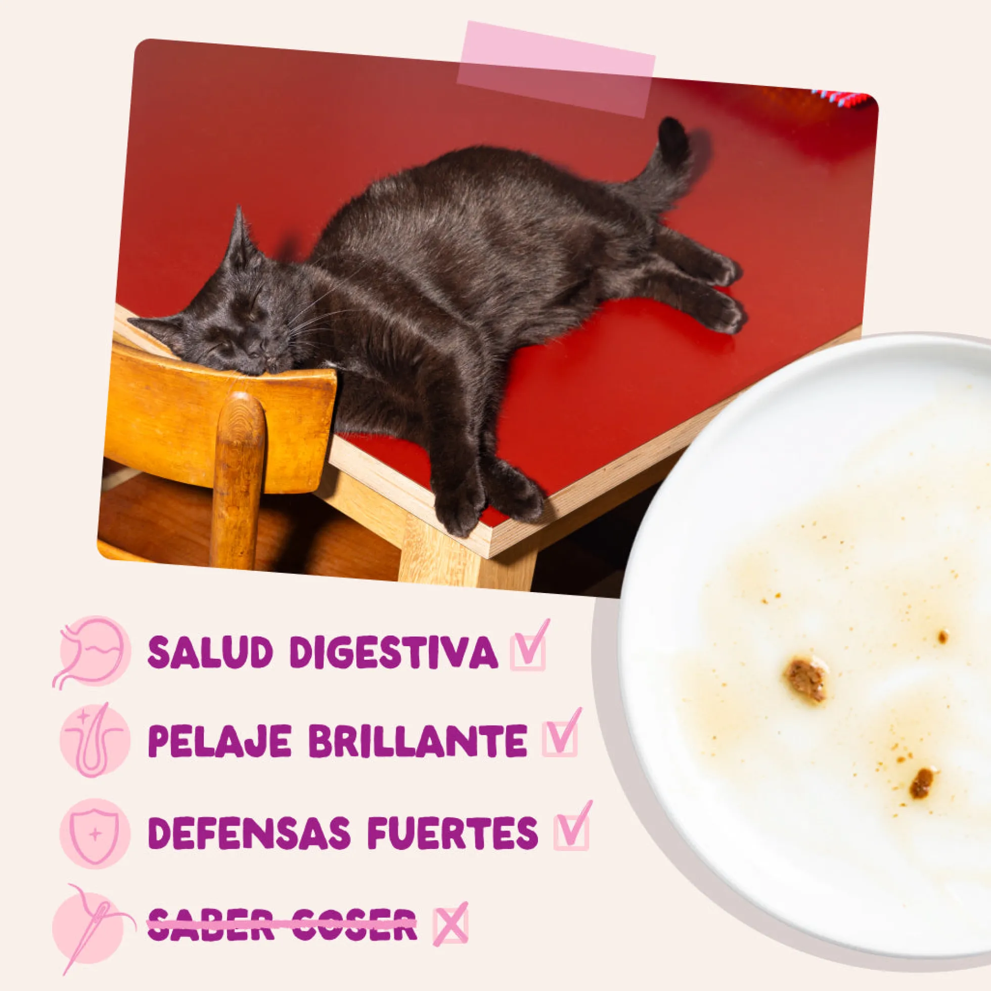 Sobres para gatitos Pato & Pollo en Salsa | Edgard & Cooper 85 g