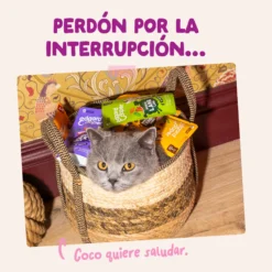 Sobres para gatitos Pato & Pollo en Salsa | Edgard & Cooper 85 g