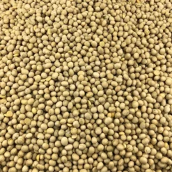Soja Amarilla Ecológica Granel 5 Kg