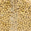Soja Blanca En Grano Ecológica 500gr