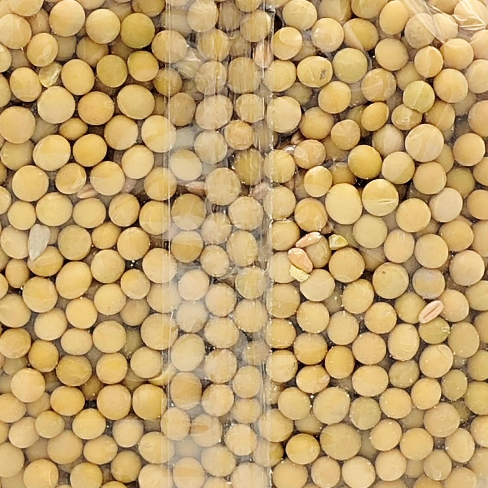 Soja Blanca En Grano Ecológica 500gr