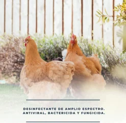 Soluclean - Limpieza De Gallineros, Perreras, Comederos Y Material - Disolver Y Limpiar Las Instalaciones (500 Ml)