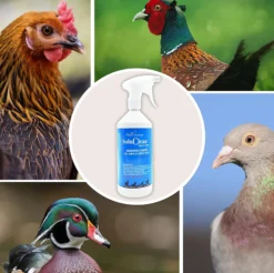 Soluclean - Limpieza De Gallineros, Perreras, Comederos Y Material - Disolver Y Limpiar Las Instalaciones (1 L)