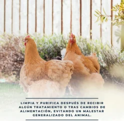 SoluDetox – Complemento nutricional para aves de corral y conejos – Apoyo hepático y nutricional – Formato 250 ml