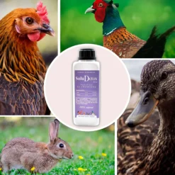 SoluDetox – Complemento nutricional para aves de corral y conejos – Apoyo hepático y nutricional – Formato 250 ml
