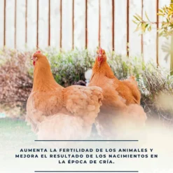 SoluFértil 1L - Reproducción aves - Vitamina E, selenio y oligoelementos esenciales durante la época de puesta