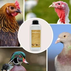 SoluPuesta - Mejora la Calidad de la cáscara del Huevo – Suplemento Alimenticio para Gallinas y otras Aves de Corral