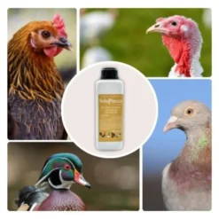 SoluPuesta - Mejora la Calidad de la cáscara del Huevo – Suplemento Alimenticio para Gallinas y otras Aves de Corral