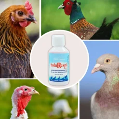 SoluRespi 250ml - Solución líquida mentolada para gallinas - Apoyo nutricional en el resfriado de las aves - 100%natural