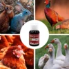 SoluStress - Apoyo nutricional a los animales después de viajes y otras situaciones de estrés - Producto 100 % natural