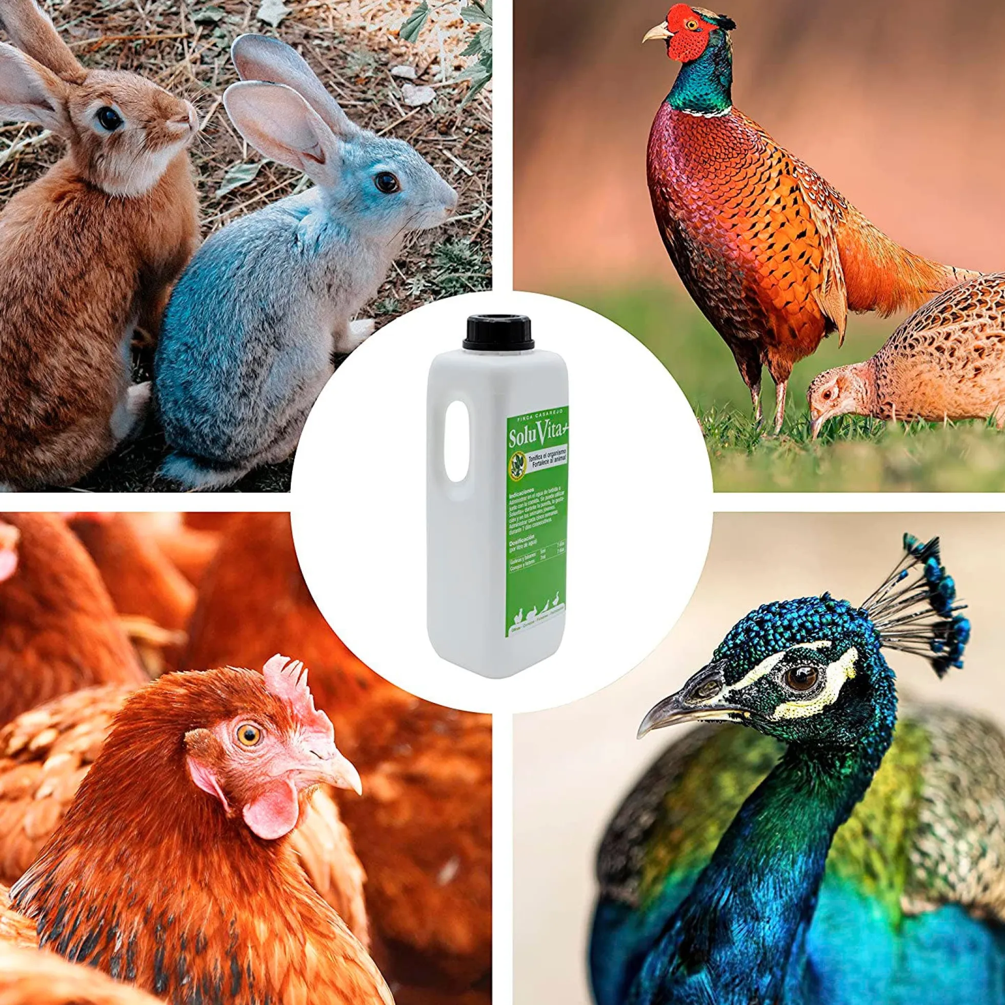 SoluVita 1L - Vitaminas para Gallinas, Conejos, Anátidas y Otras Aves - Apoyo nutricional en épocas de alta demanda
