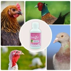 SoluZol 1L – Complemento nutricional natural para gallinas y aves – Apoyo digestivo y bienestar intestinal– 100% vegetal