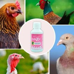 SoluZol 250ml – Complemento nutricional natural para aves – Apoyo digestivo y bienestar intestinal– 100% vegetal