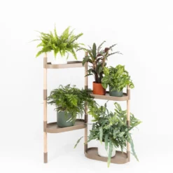 Soporte Modular Citysens De 4 Bandejas – Color Corteza De Pino, Polipropileno 100% Reciclado Y Madera Ecológica Pefc