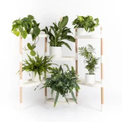 Soporte Modular Citysens De 6 Bandejas – Blanco, Polipropileno 100% Reciclado Y Madera Ecológica Pefc