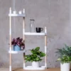 Soporte Modular Citysens De 4 Bandejas Y Semillas Aromáticas – Blanco, Polipropileno 100% Reciclado Y Madera Ecológica