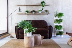 Soporte Modular Citysens De 4 Bandejas Y Semillas Aromáticas – Blanco, Polipropileno 100% Reciclado Y Madera Ecológica
