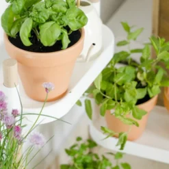 Soporte Modular Citysens De 4 Bandejas Y Semillas Aromáticas – Blanco, Polipropileno 100% Reciclado Y Madera Ecológica