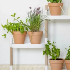 Soporte Modular Citysens De 4 Bandejas Y Semillas Aromáticas – Blanco, Polipropileno 100% Reciclado Y Madera Ecológica