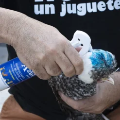 Spray Azul Para Heridas De Animales 250Ml - Limpia Y Seca Las Costras - Spray Cicatrizante Para Perros, Aves, Conejos...