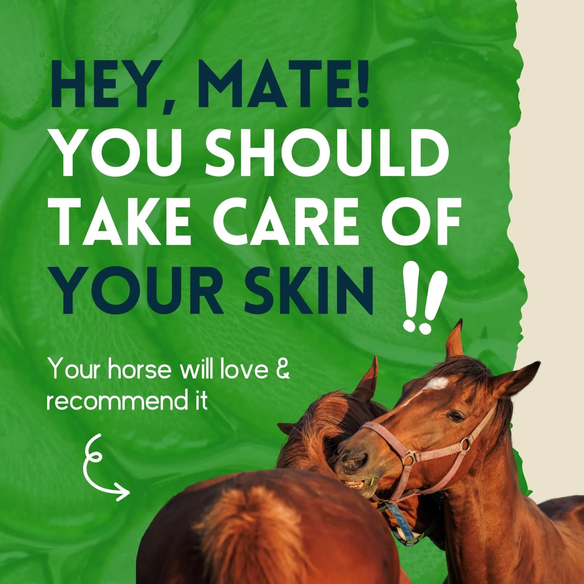 Spray Para El Cuidado De La Piel Para Caballos - Nimo - 2,5 L