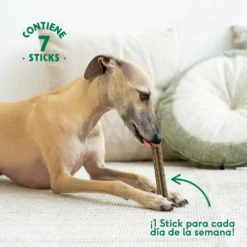 Stick dental Fuera Placa Wild Balance 7 ud.