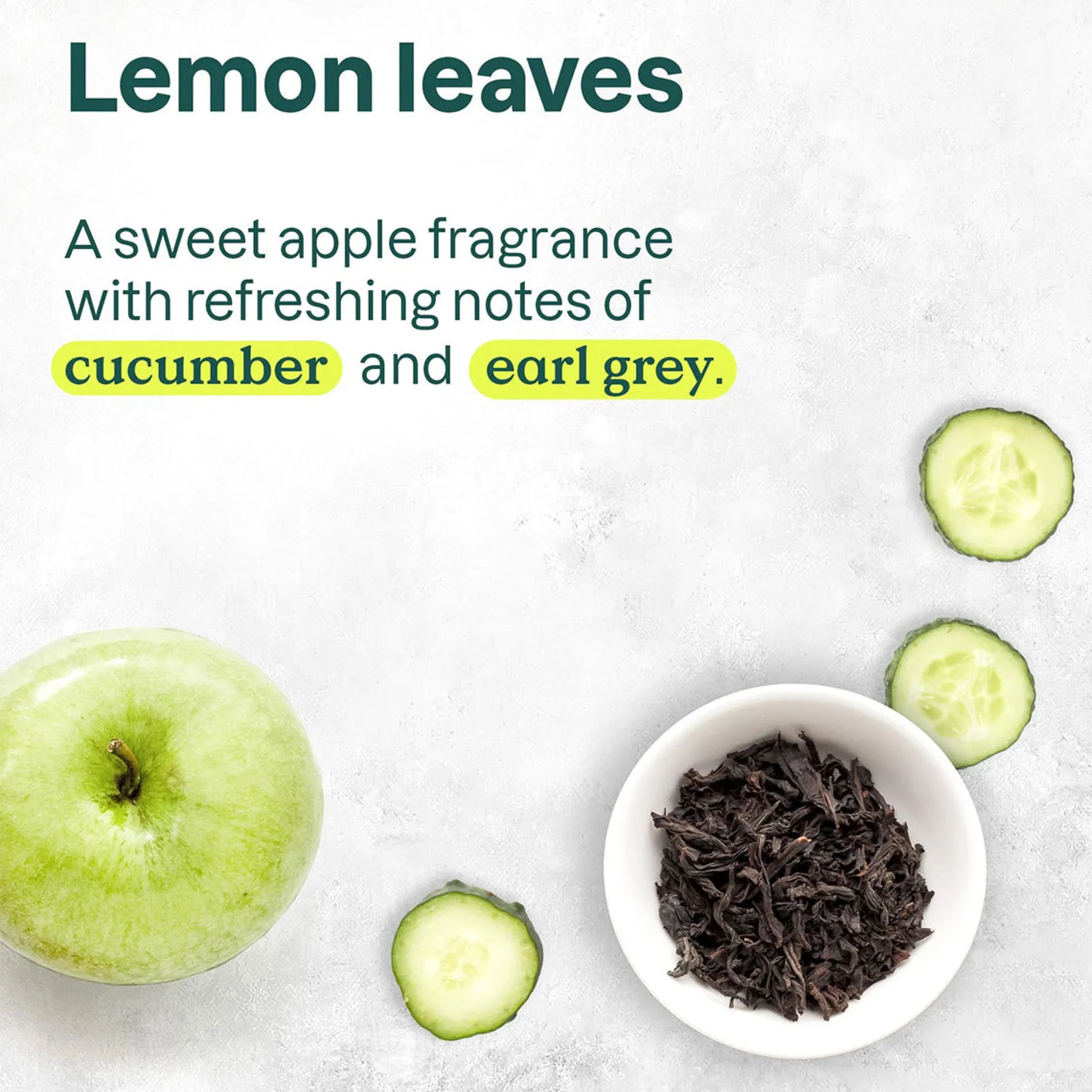 Super leaves Champú Purificante 473 ml