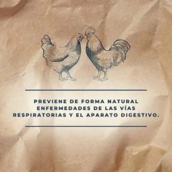 Suplemento Alimenticio Para Una Buena Salud Digestiva En Animales | Digestive Top 250 Ml Para Conejos Y Aves De Corral